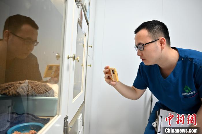 90后护士照顾患者图片,90后宠物医生坚守医院