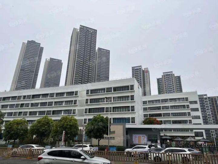 龙华最值得入手的新楼盘,深圳龙华楼盘烂尾