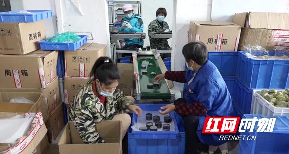 祁东有什么党建基地,祁东乡村振兴助农