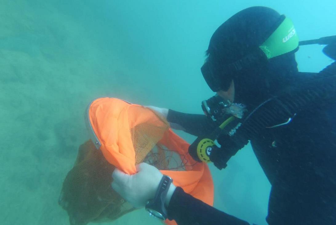 旅游业复苏，这家中国“潜水第一股”却要退市了