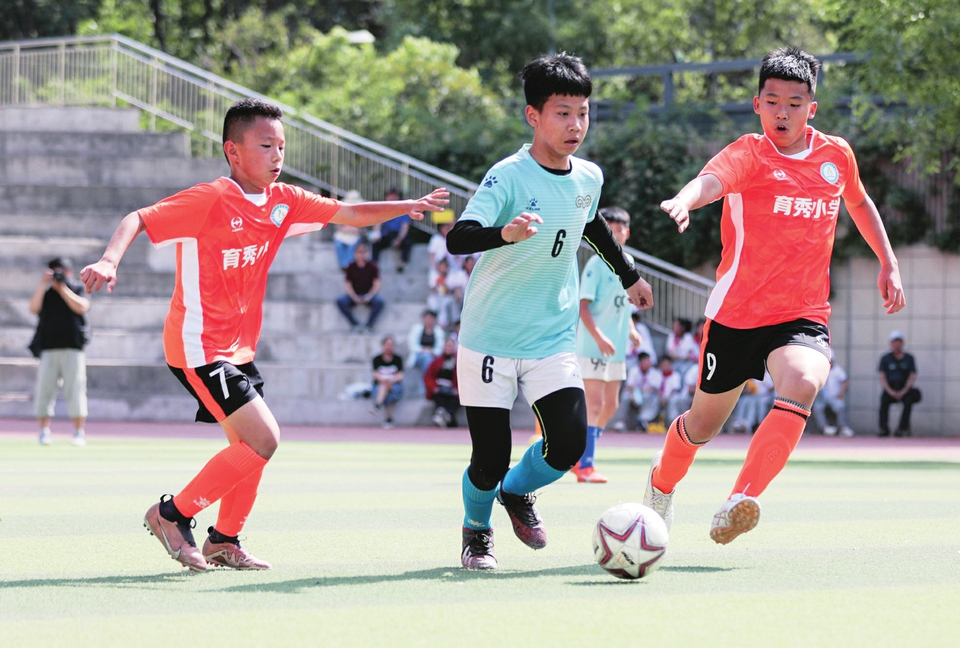 男女足世界杯,男女足比赛