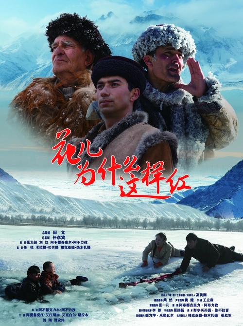 每个故事背后都很感人,每个故事都是很真实的