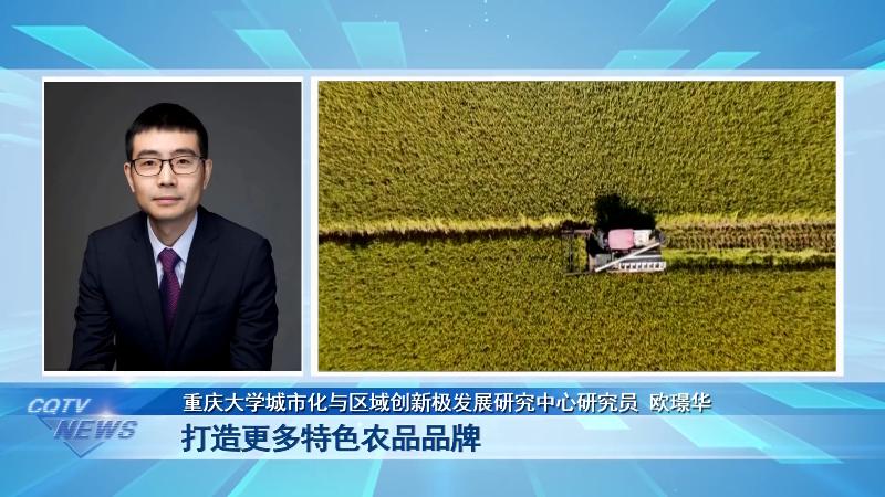 第1眼重庆广电消息,重庆广电官网