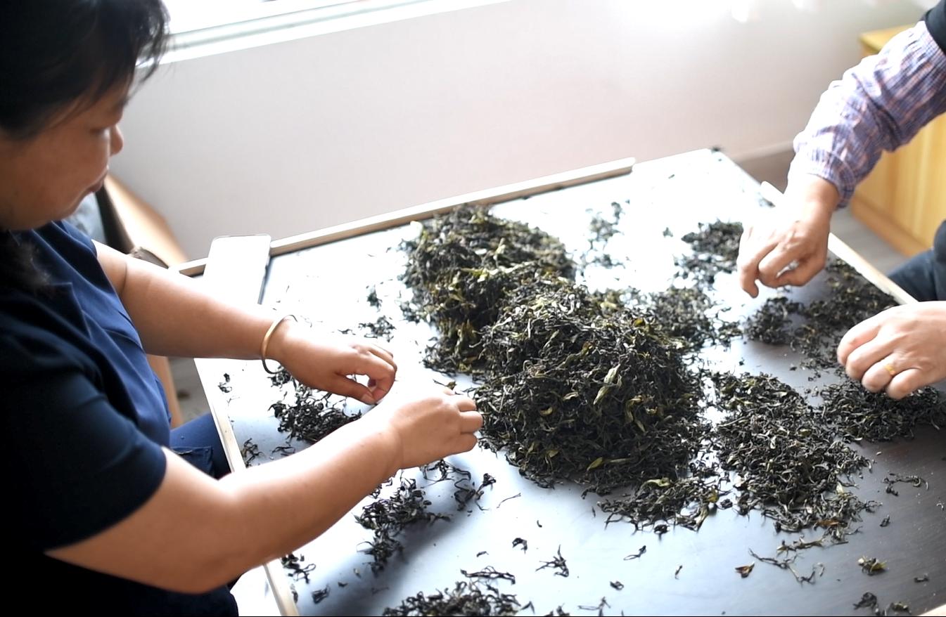 泗县乡村振兴返乡创业,道孚县鼓励返乡创业助力乡村振兴