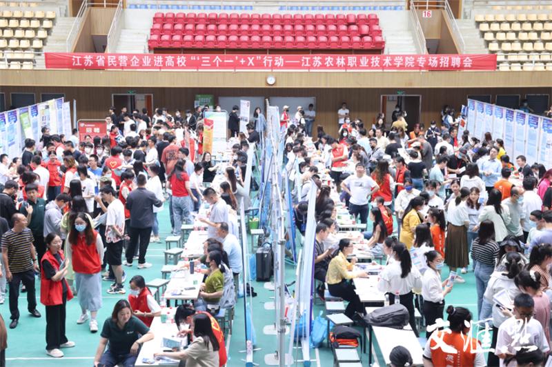 返乡创业就是回家种地,回乡种地立志当农民