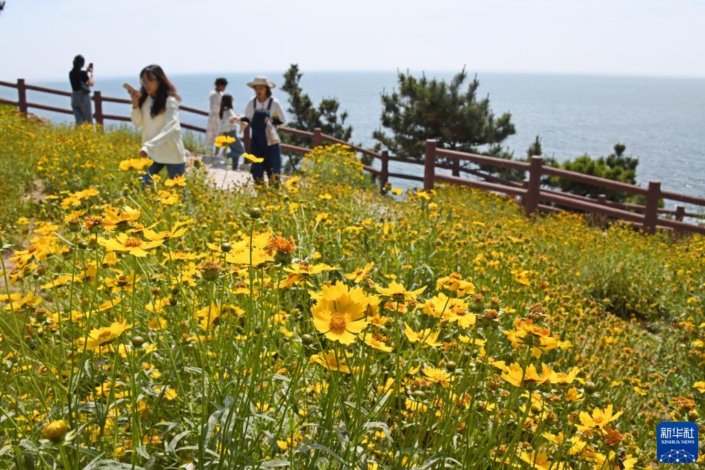 灵山野外探险视频,魅力海岛灵山岛