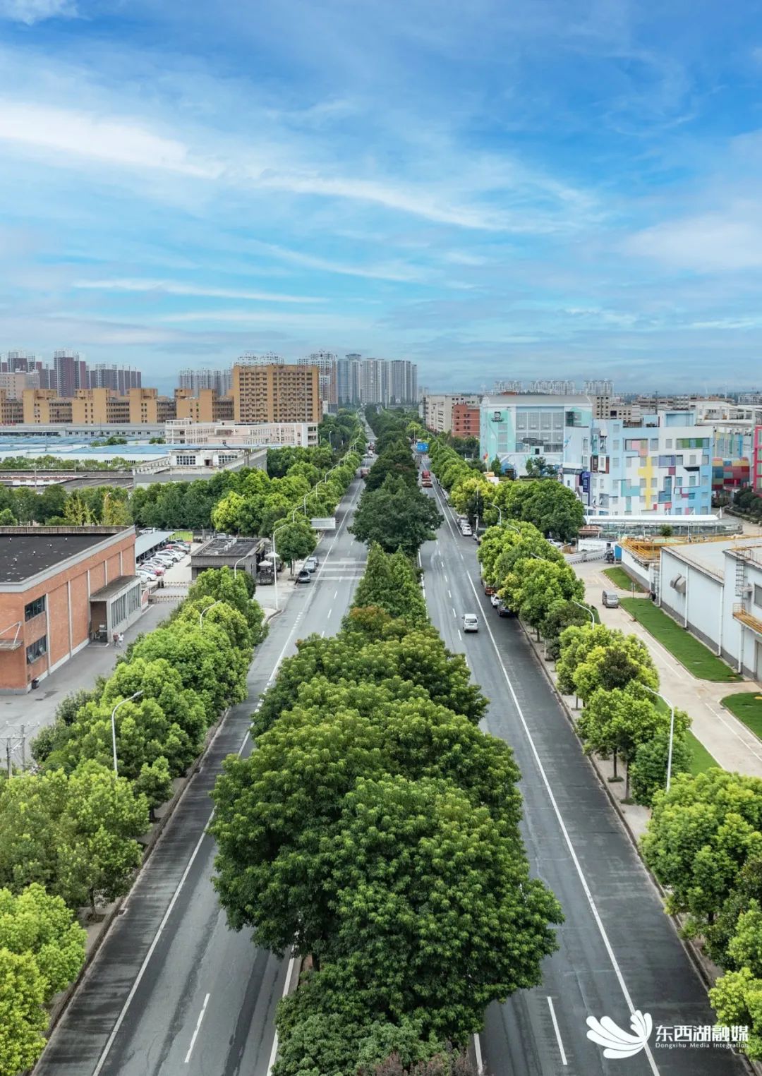 秒光！东西湖15家企业“组团”带来地道武汉味