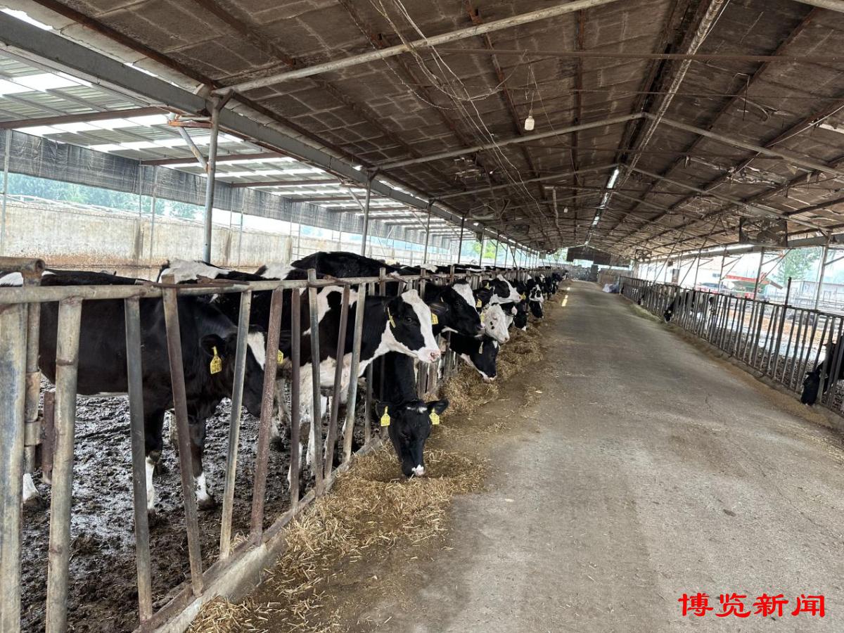 高青：“五彩”农业打开农民致富门