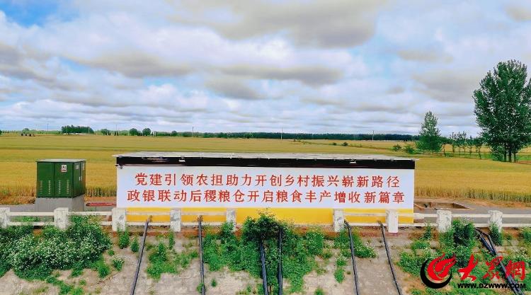 诸城市林家村镇后稷粮仓现代农业产业园之金色麦浪话“丰”田