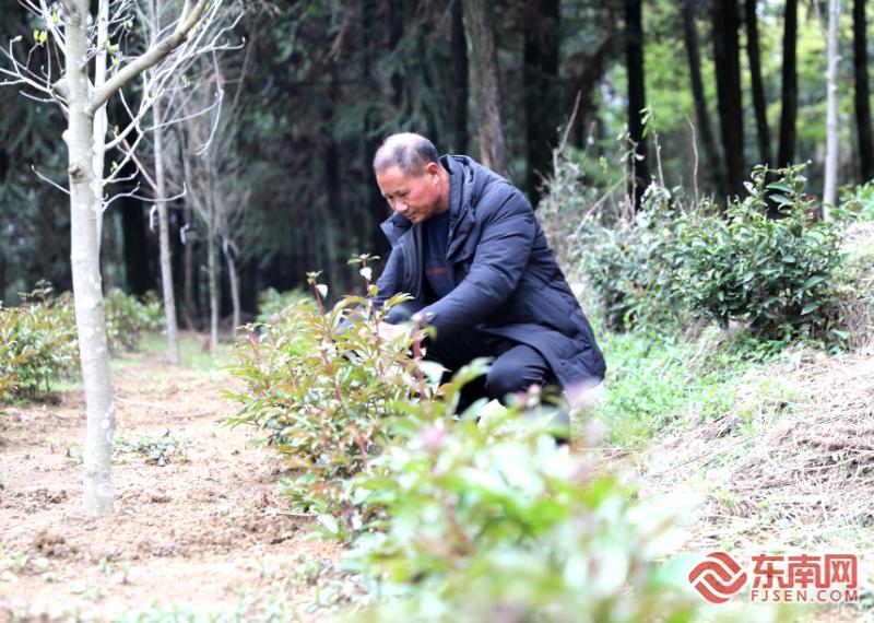 做足“绿”文章勇于“碳”新路