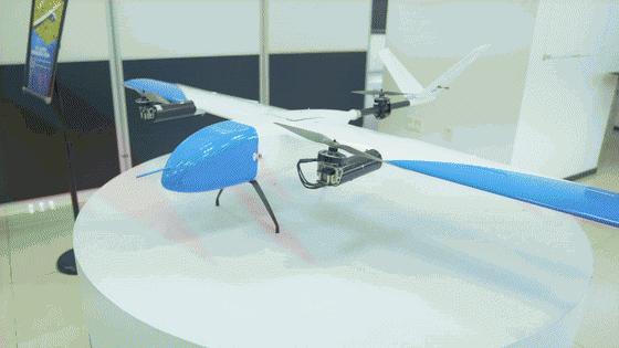 逐梦蓝天迎风起航,逐梦蓝天飞鹰起飞