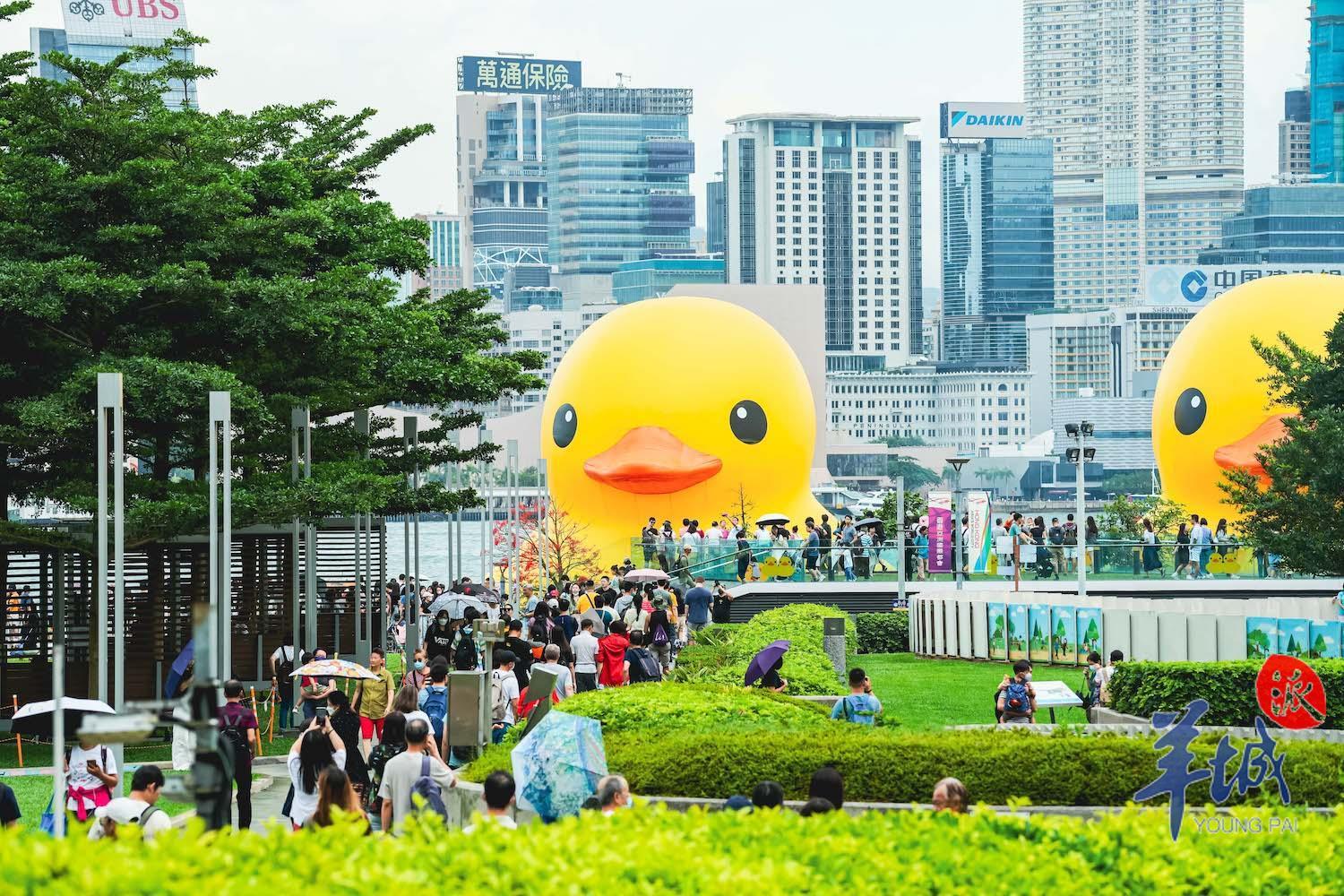 大黄鸭游香港,香港大黄鸭去过多少个地方