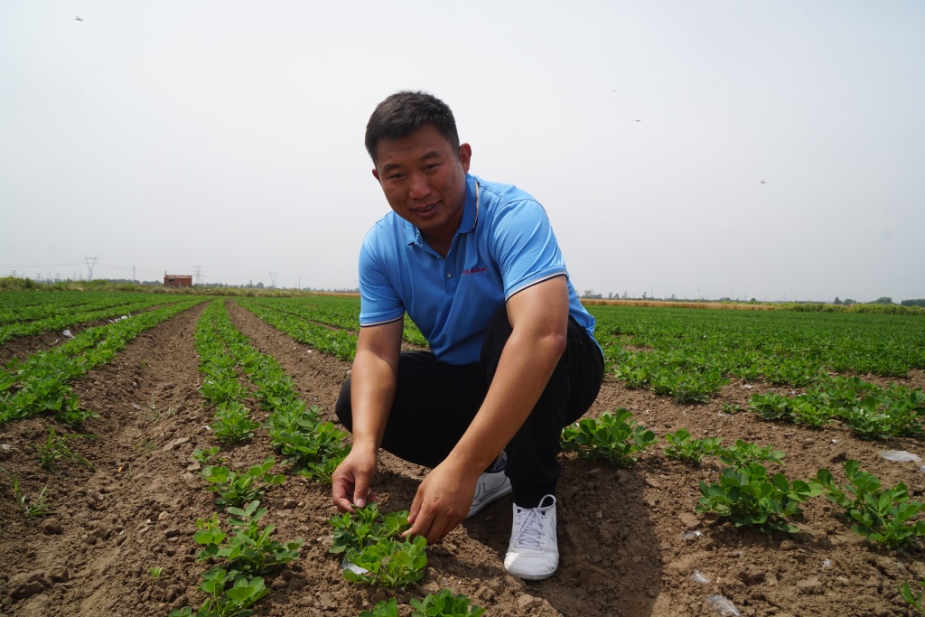 新闻周刊丨大学归来，扎根田间，争当头雁！返乡高管土专家，镀金升级新农人