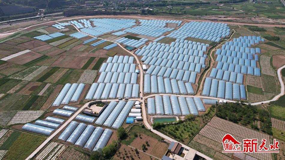 武山蔬菜简介,武山人文历史