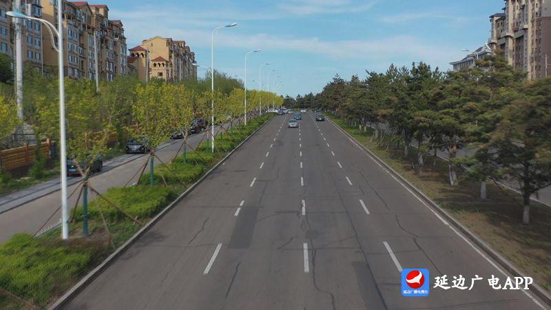 让绿色成为美丽的底色,让绿色成为高质量发展底色