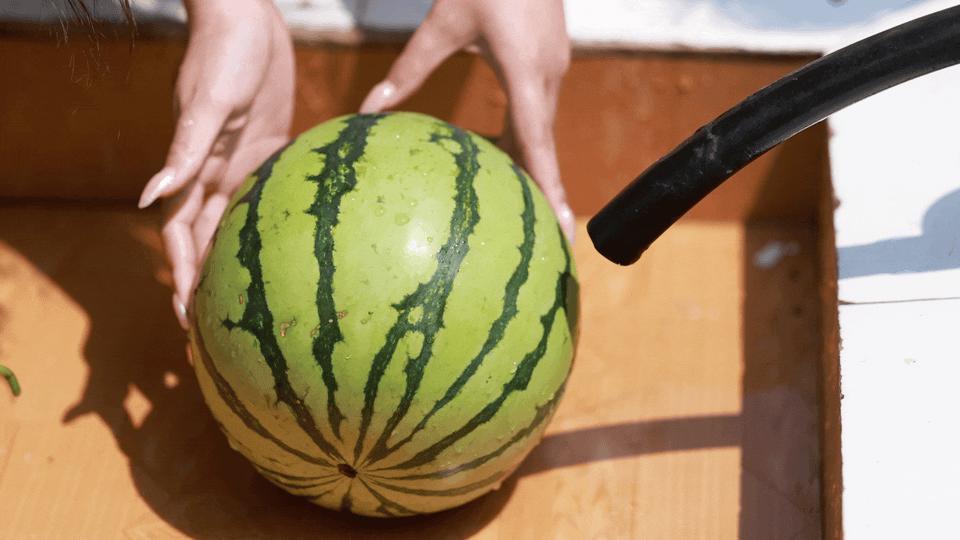 华容区*团蒲**乡，瓜瓜甜到冒泡