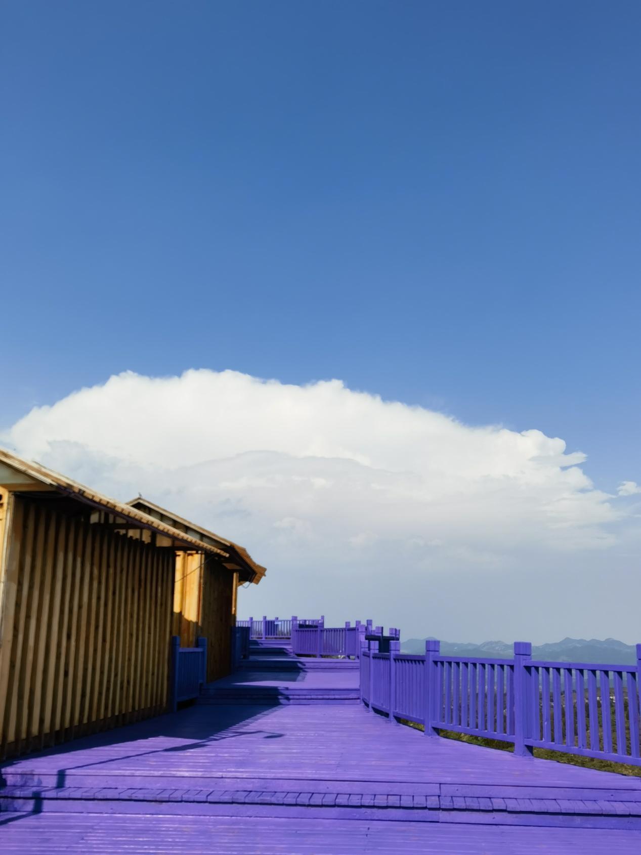 东方普罗旺斯薰衣草,东方普罗旺斯薰衣草庄园