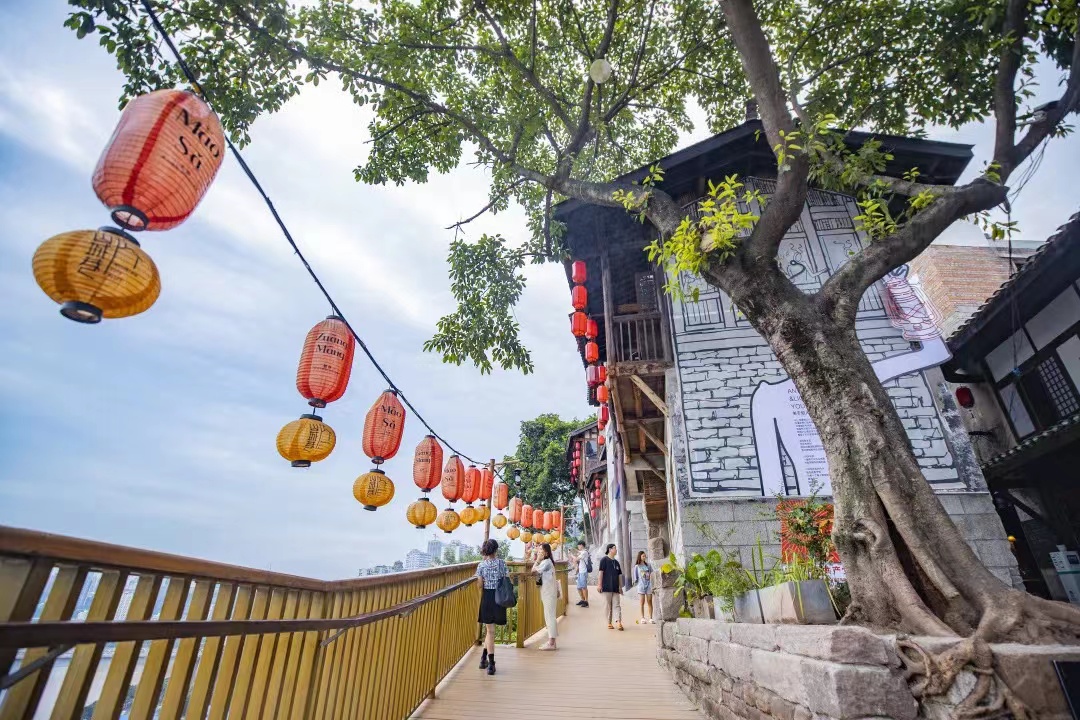 第1眼重庆广电,重庆广电第1眼直播