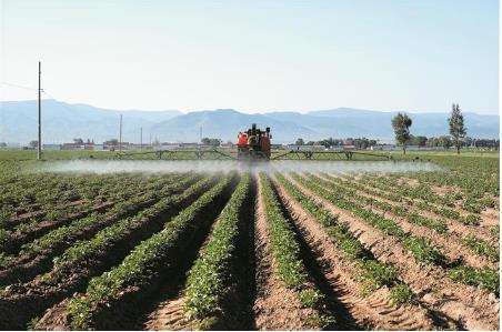 阳城县河道治理工程,阳城县后河巷河道治理