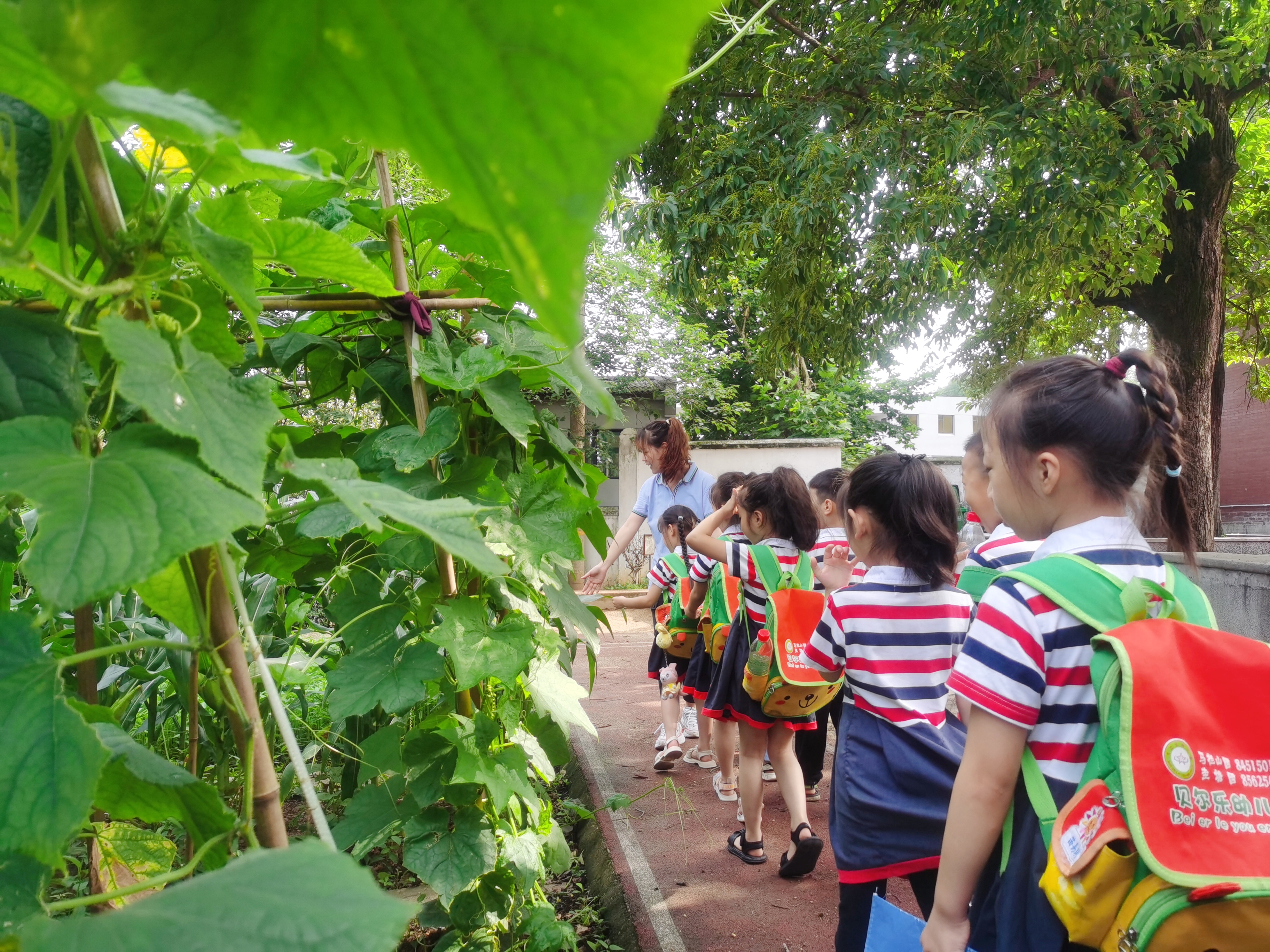 马栏山小学2021,大连马栏山小学