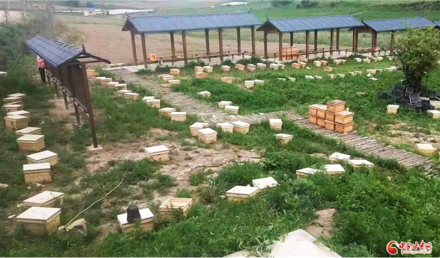 程永峰的创业“蜜”经