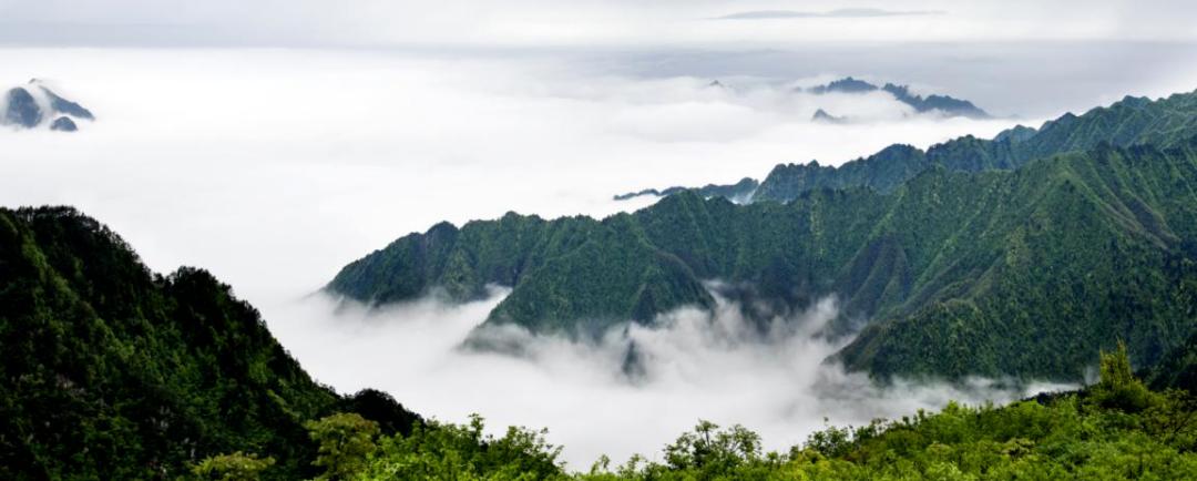 永州市原创歌曲演唱会,永州最新原创音乐