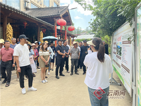 昆明市晋宁区：实施“四岗赋能”工程做实村级“大岗位制”改革后半篇文章