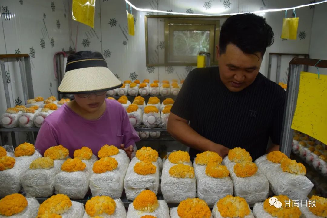 探访返乡创业的新农人现状,90后小伙返乡创业当“新农人”