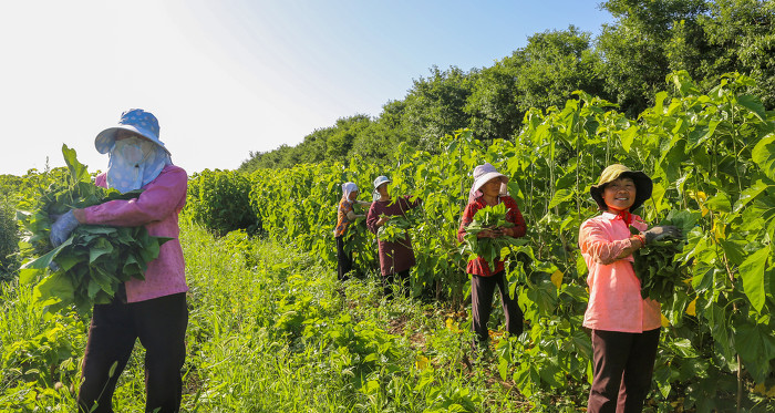阳城县河道治理工程,阳城县后河巷河道治理