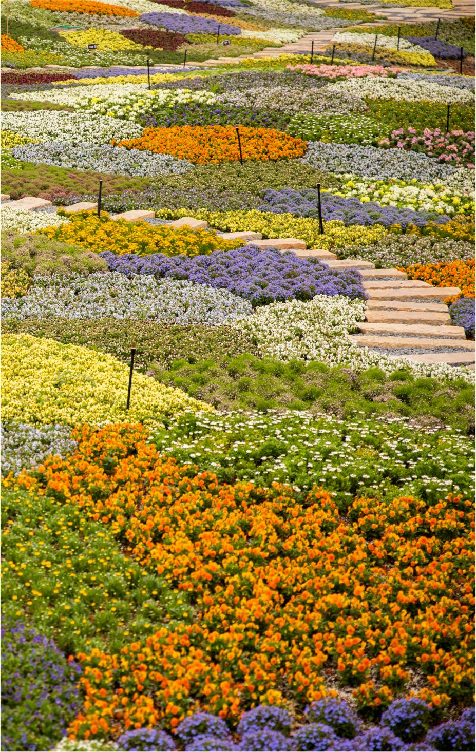 东莞暑期旅游推荐,东莞半日游最佳景点