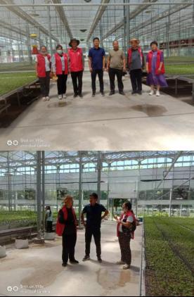 科技特派员助力辣椒产业健康发展,河南省辣椒产业科技服务团