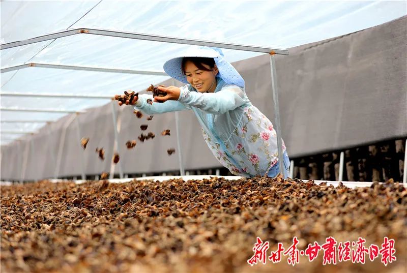 脱贫攻坚新渠道消费扶贫显成效,消费扶贫助力我县农特产品走出去