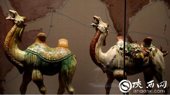 长安守宝人丨陕西唐三彩艺术博物馆陈雪儿:在泥火幻彩中感悟先辈精神传承文化荣光