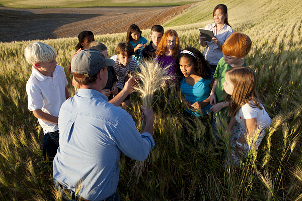 如何给孩子选择靠谱的机构,如何给孩子选择研学