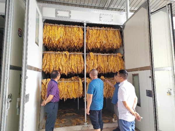 新型大型烤烟专用烤房,大力发展烤烟生产