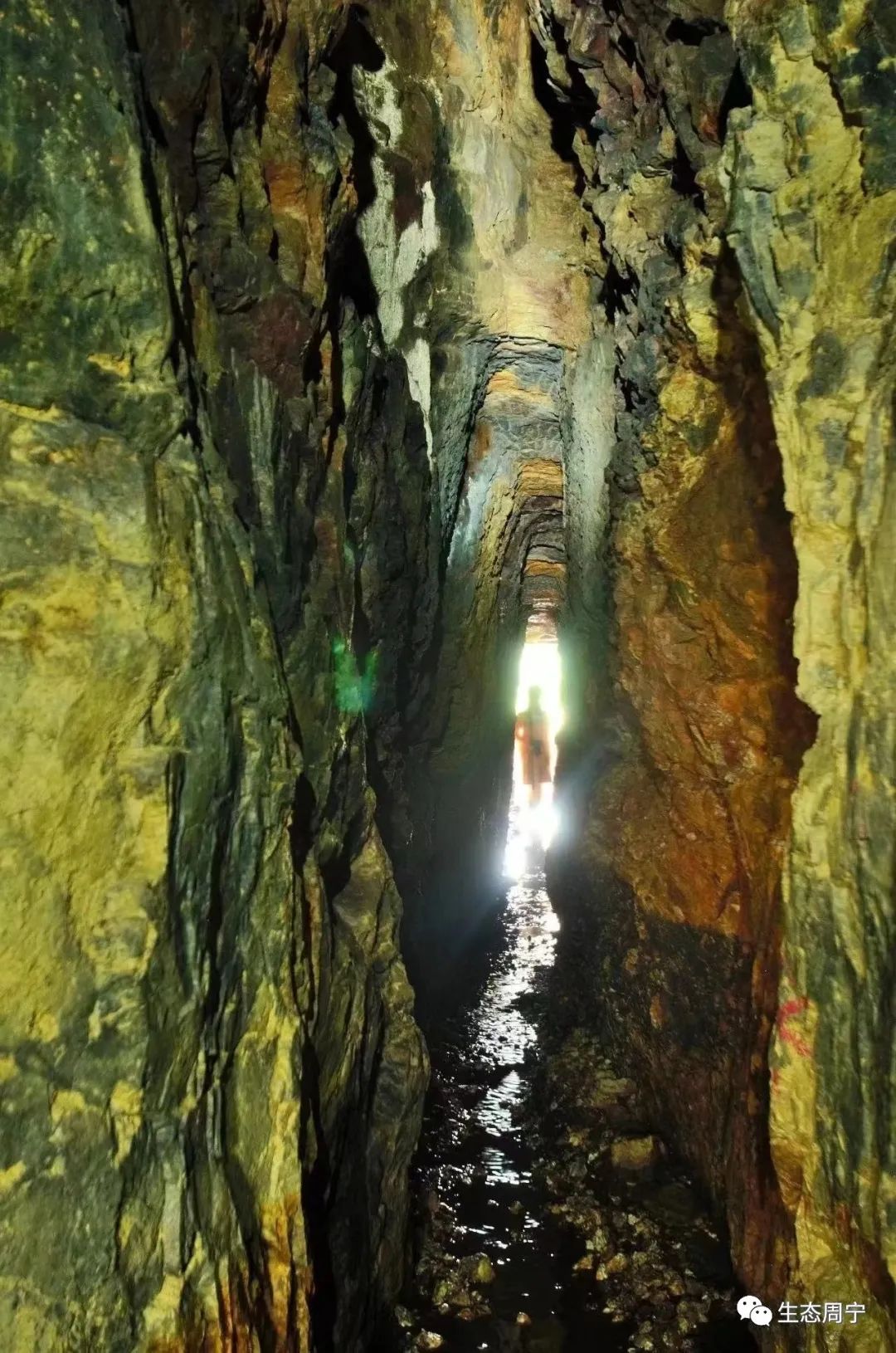 【东洋溪流域】群峰之巅——龙岗头