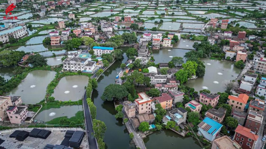 佛山最值得逛的古村,佛山有没有好玩的乡村古镇