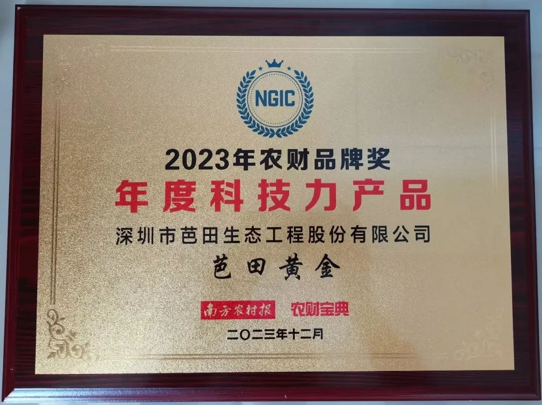 芭田黄金美膨果怎么样,芭田黄金果