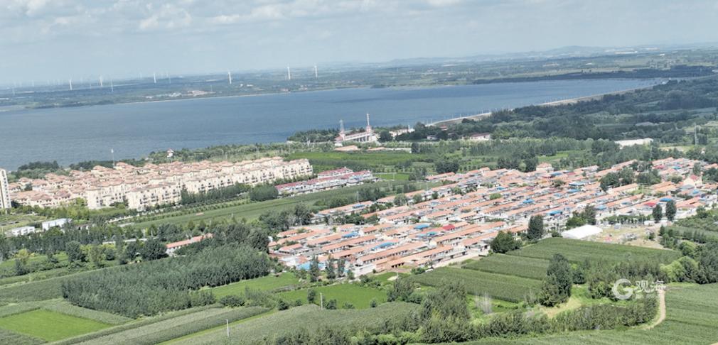 青岛西海岸新区乡村振兴齐鲁样板,乡村振兴齐鲁样板图