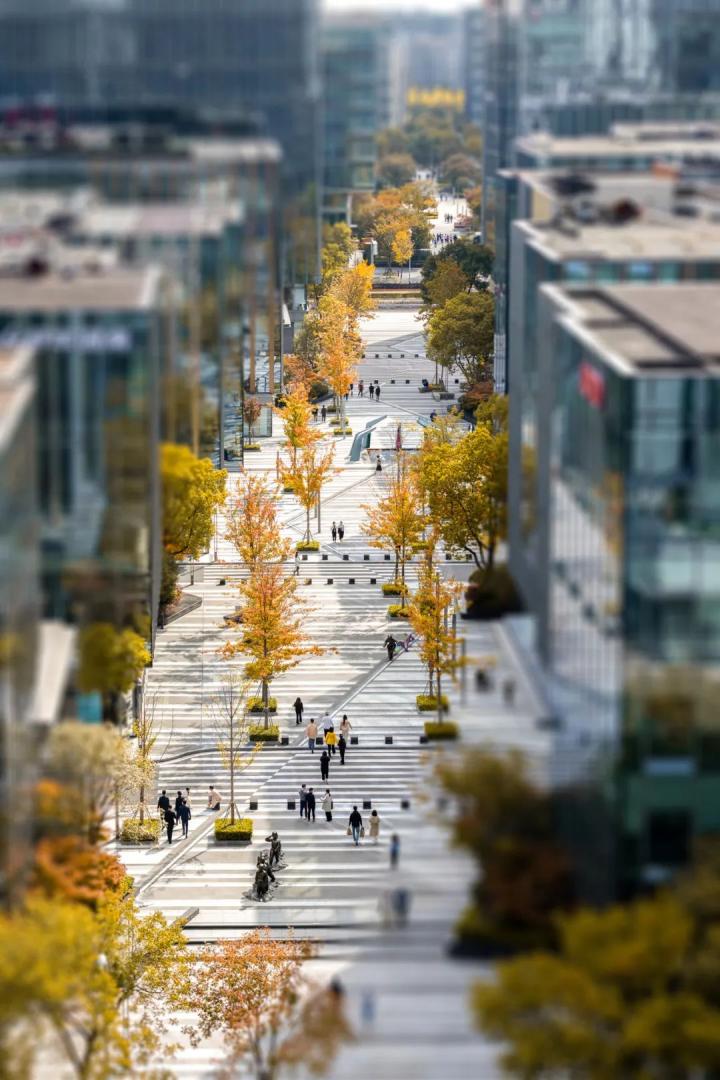 稳健发展李嘉诚,稳健发展持续创新