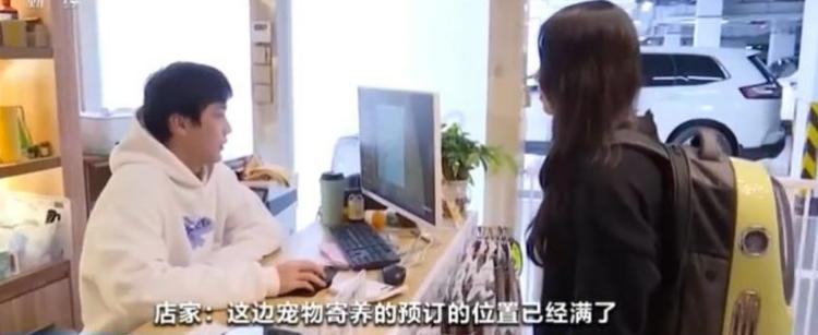 春节期间宠物寄养“房位”紧俏,家庭式宠物寄养一个月能赚多少钱