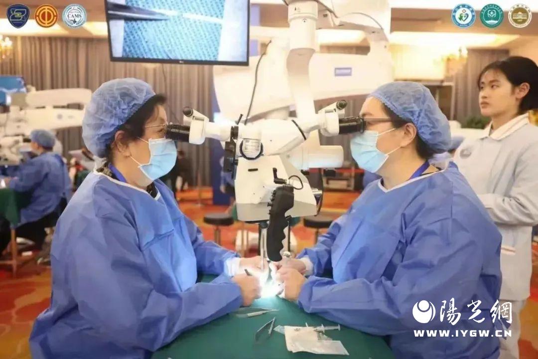 显微血管缝合大赛,超级显微血管吻合大赛