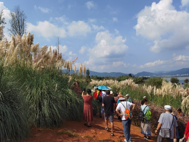 春城晚报生活节,春城晚报开屏新闻生活节