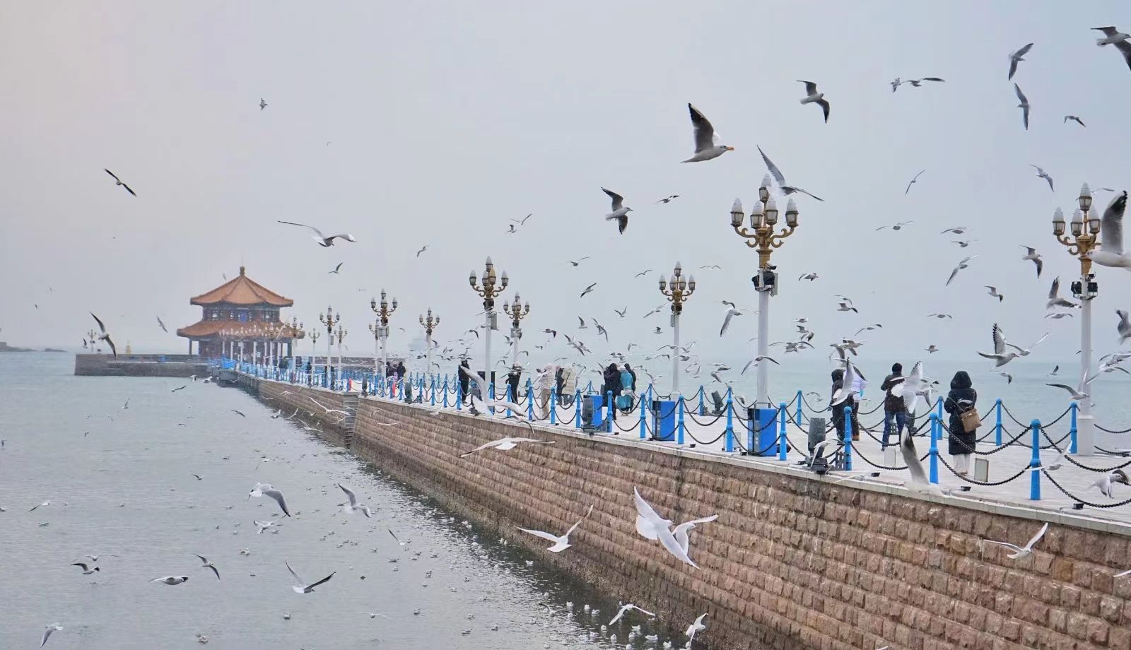 这个夏天来看青岛的海,带你看看冬天青岛的海