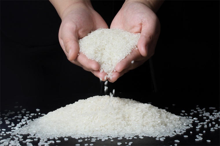 十月稻田集团独角兽,十月稻田上市股票代码