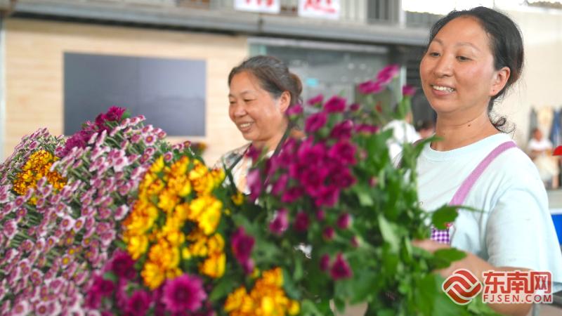周宁县绿水青山就是金山银山,周宁生态环境局局长