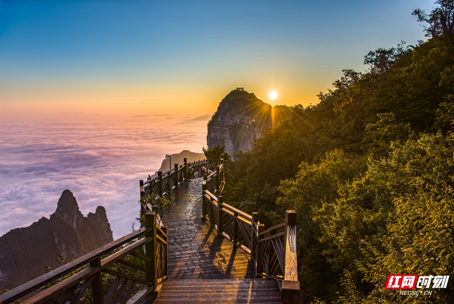 中秋节去张家界怎么去,中秋来天门山怎么玩
