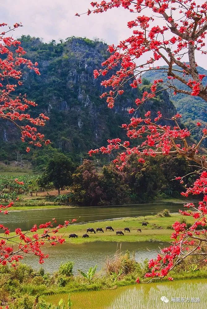 醉美东方园林游记,醉美东方城