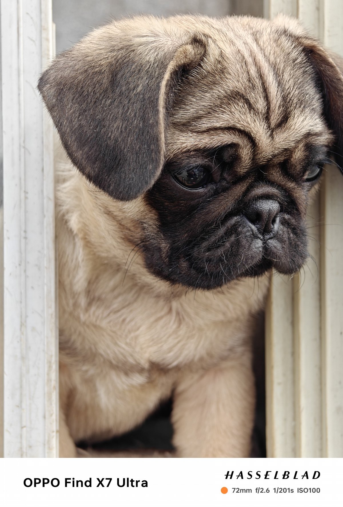 oppofindx7ultra娴嬭瘎,oppofindx7ultra鎷嶆憚璇勬祴