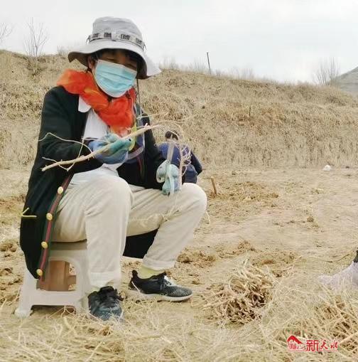 中药材种植产业开出富民“良方”